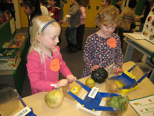 Davis Town (02-04-2009 10:06)