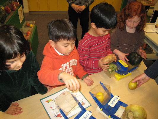 Davis Town (02-04-2009 10:18)