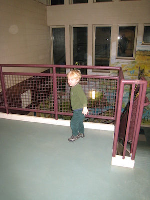 Cole at Davis (02-05-2009 18:52)