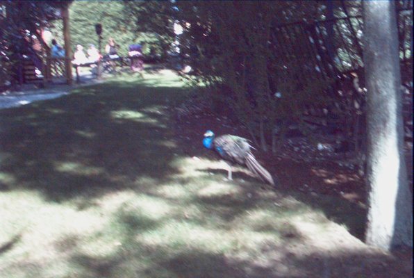 IMG_1053 (02-11-2009 23:10)