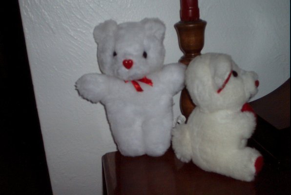 IMG_1118 (02-13-2009 21:03)