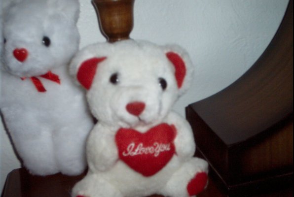 IMG_1119 (02-13-2009 21:04)