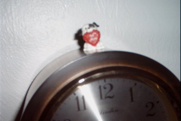 IMG_1120 (02-13-2009 21:04)