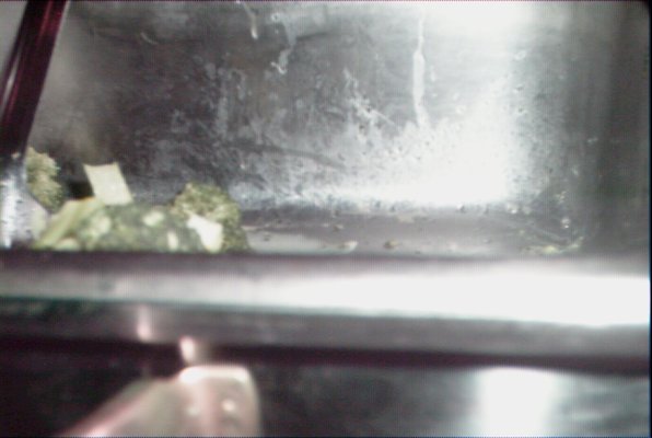 IMG_1181 (02-15-2009 09:07)