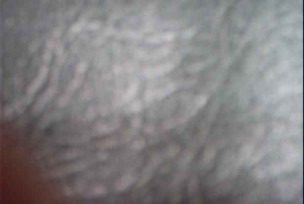 IMG_1228 (02-17-2009 08:32)