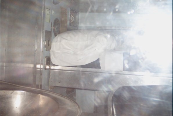 IMG_1231 (02-17-2009 08:32)