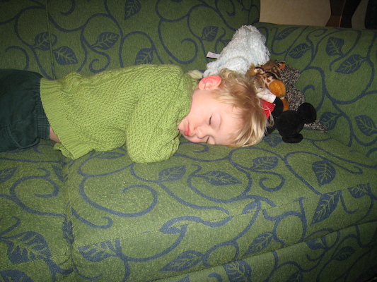 Sleeping Cole (02-16-2009 17:00)