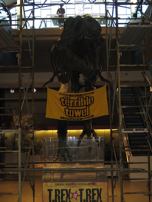 Terrible towel T-Rex (02-17-2009 16:07)