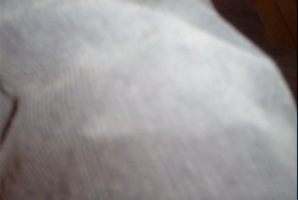 IMG_1239 (03-02-2009 20:29)