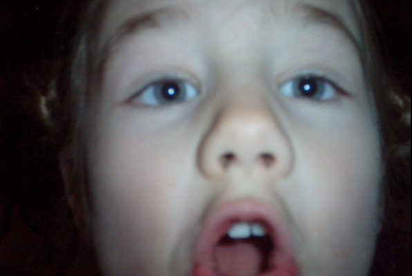 IMG_1241 (03-02-2009 20:29)