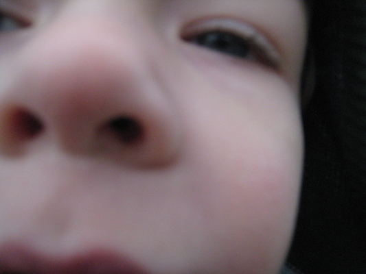 Cole really close up by Gus (04-11-2009 09:20)