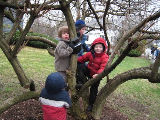 Tree of Finn, Owen and Tim (04-11-2009 10:05)