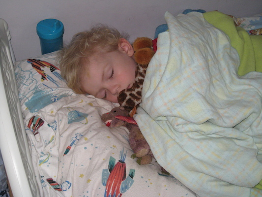 Sleeping Cole (05-06-2009 15:54)