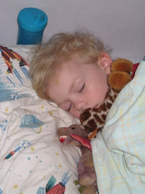 Sleeping Cole (05-06-2009 15:54)