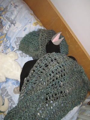 Blackie in bed (05-07-2009 18:38)