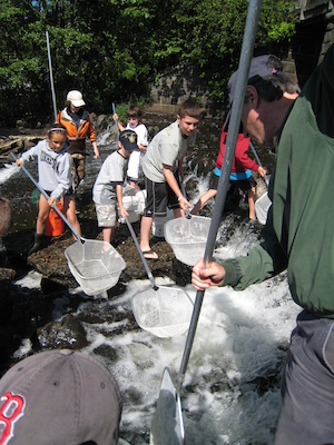 Netting the fish (05-30-2009 09:33)