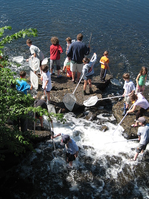 Looking down at the catchers (05-30-2009 09:39)