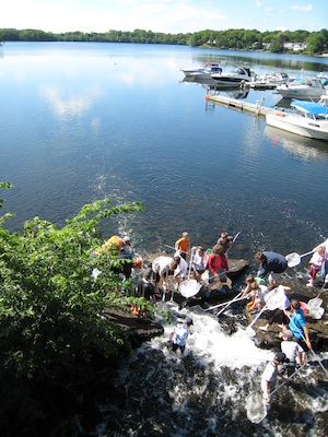 Looking down at the catchers (05-30-2009 09:40)