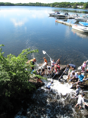 Looking down at the catchers (05-30-2009 09:40)