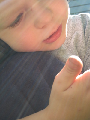 Cole closeup (06-02-2009 15:25)