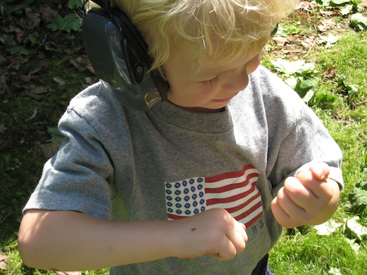 Cole examining ants (06-02-2009 15:26)