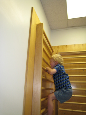 Cole climbing (06-07-2009 13:09)
