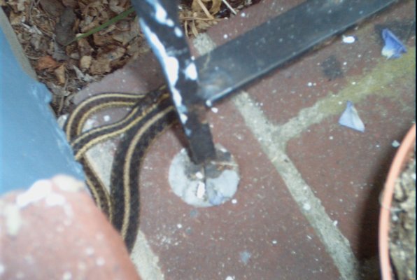 IMG_1303 (06-15-2009 22:06)