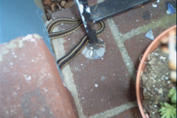 IMG_1304 (06-15-2009 22:06)