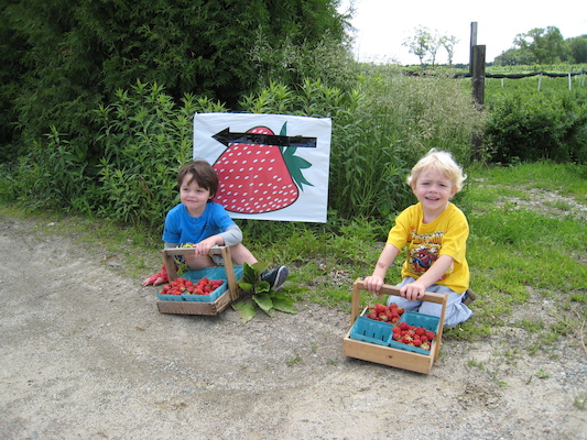 Jamie and Cole picking strawberries (06-16-2009 10:56)