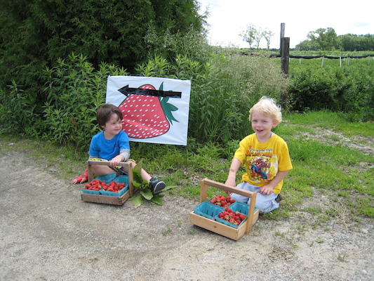 Jamie and Cole picking strawberries (06-16-2009 10:57)