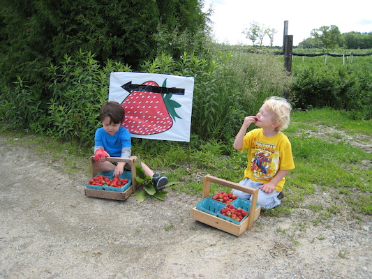 Jamie and Cole picking strawberries (06-16-2009 10:57)