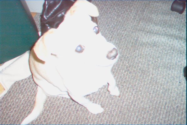 IMG_1305 (06-20-2009 08:17)