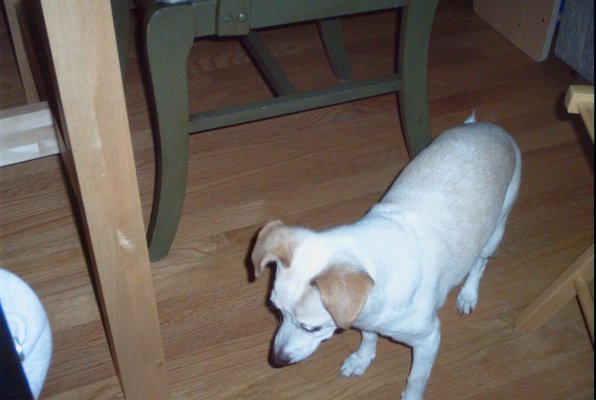 IMG_1306 (06-20-2009 08:17)