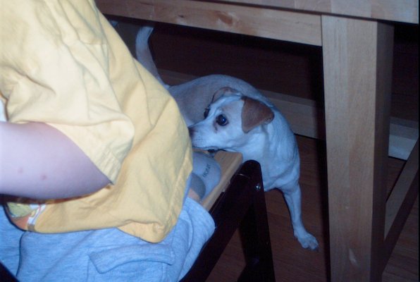 IMG_1307 (06-20-2009 08:17)