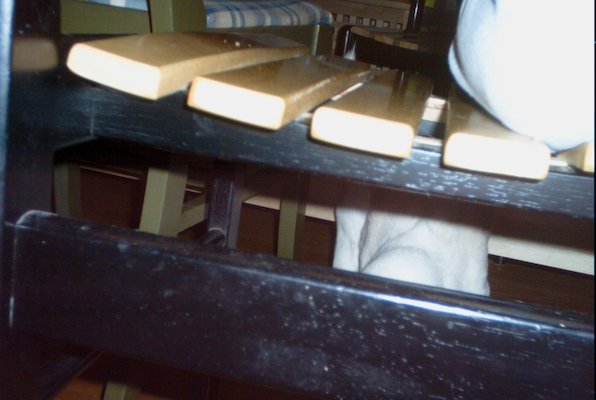 IMG_1308 (06-20-2009 08:17)