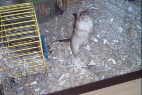 IMG_1324 (06-20-2009 08:17)