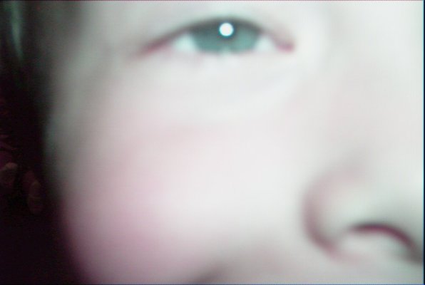 IMG_1330 (06-20-2009 08:17)