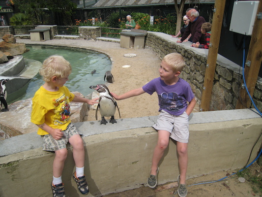 Cole and Tim patting a penguin (07-05-2009 11:16)