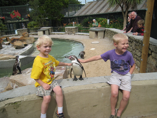Cole and Tim patting a penguin (07-05-2009 11:16)