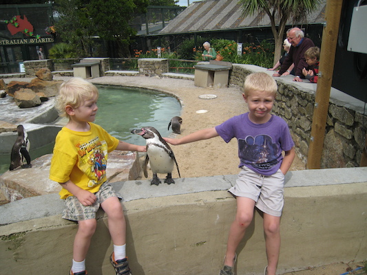 Cole and Tim patting a penguin (07-05-2009 11:16)