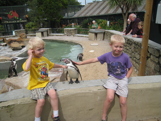Cole and Tim patting a penguin (07-05-2009 11:16)