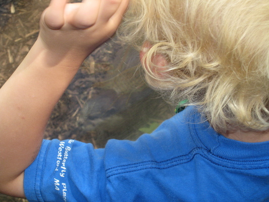 Cole watching the otters (07-08-2009 14:50)