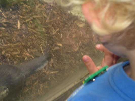 Cole watching the otters (07-08-2009 14:50)