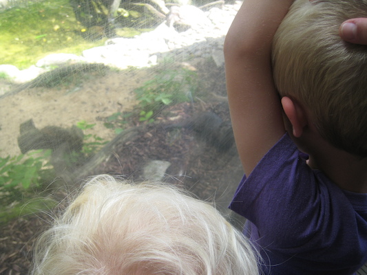 Cole and Tim watching the otters (07-08-2009 14:50)