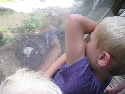 Cole and Tim watching the otters (07-08-2009 14:50)