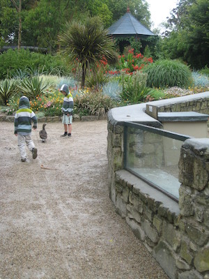 Cole and Tim following the duck (07-11-2009 13:16)