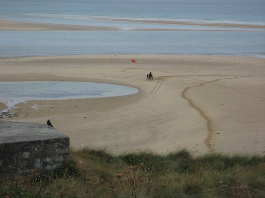 Horse on the beach (07-10-2009 11:24)