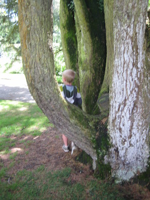 Tim leaving a tree (07-12-2009 11:43)