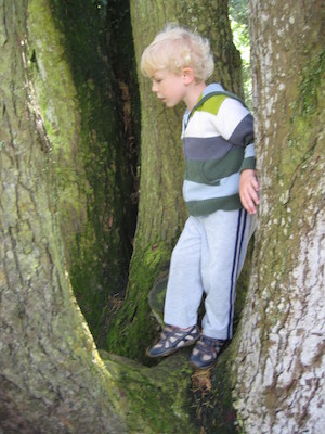 Cole in a tree (07-12-2009 11:43)