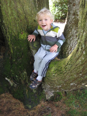 Excited Cole in a tree (07-12-2009 11:43)